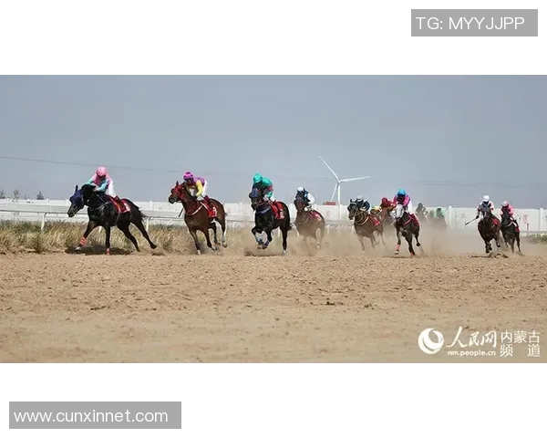 黑羚羊足球:探索草原上的激情与梦想,追逐绿茵场上的辉煌与荣耀