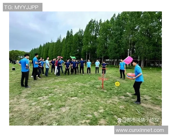 飞盘盛宴:深入武汉飞盘队的默契配合与战术解析